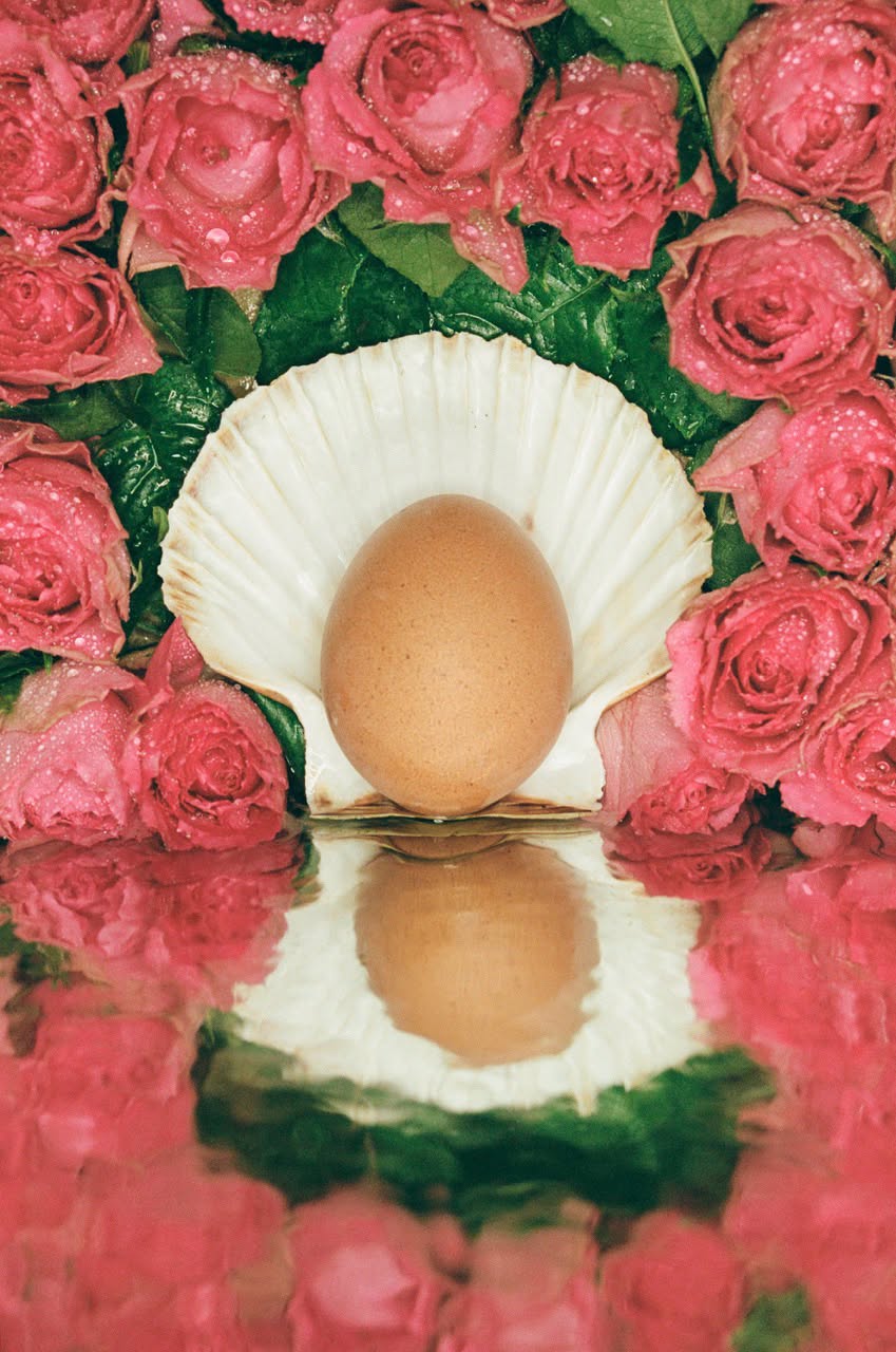 Photo gagnante du concours L'ŒUF DANS TOUS SES ÉTATS : La naissance d'Œufrodite par Léa Flückiger