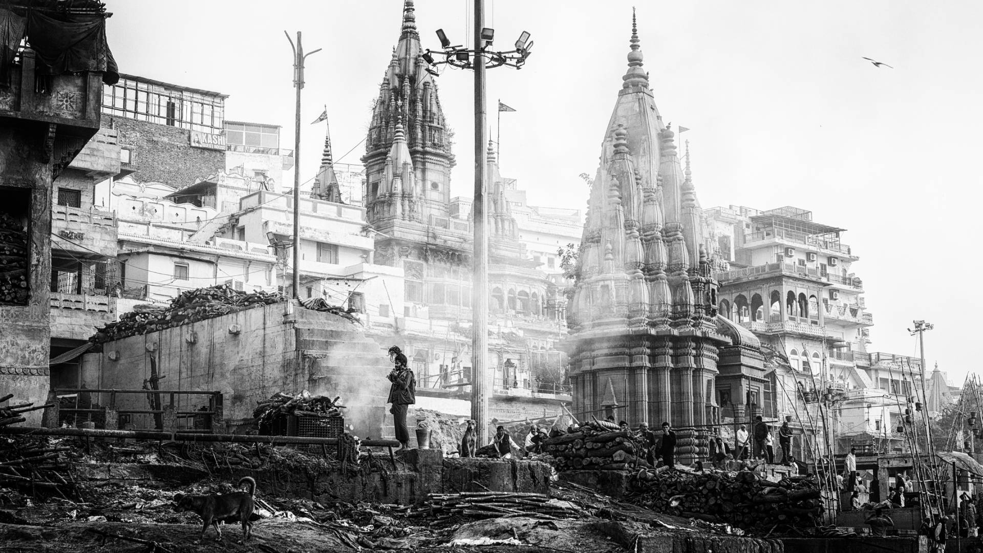 Photo de MicroPhoto 1