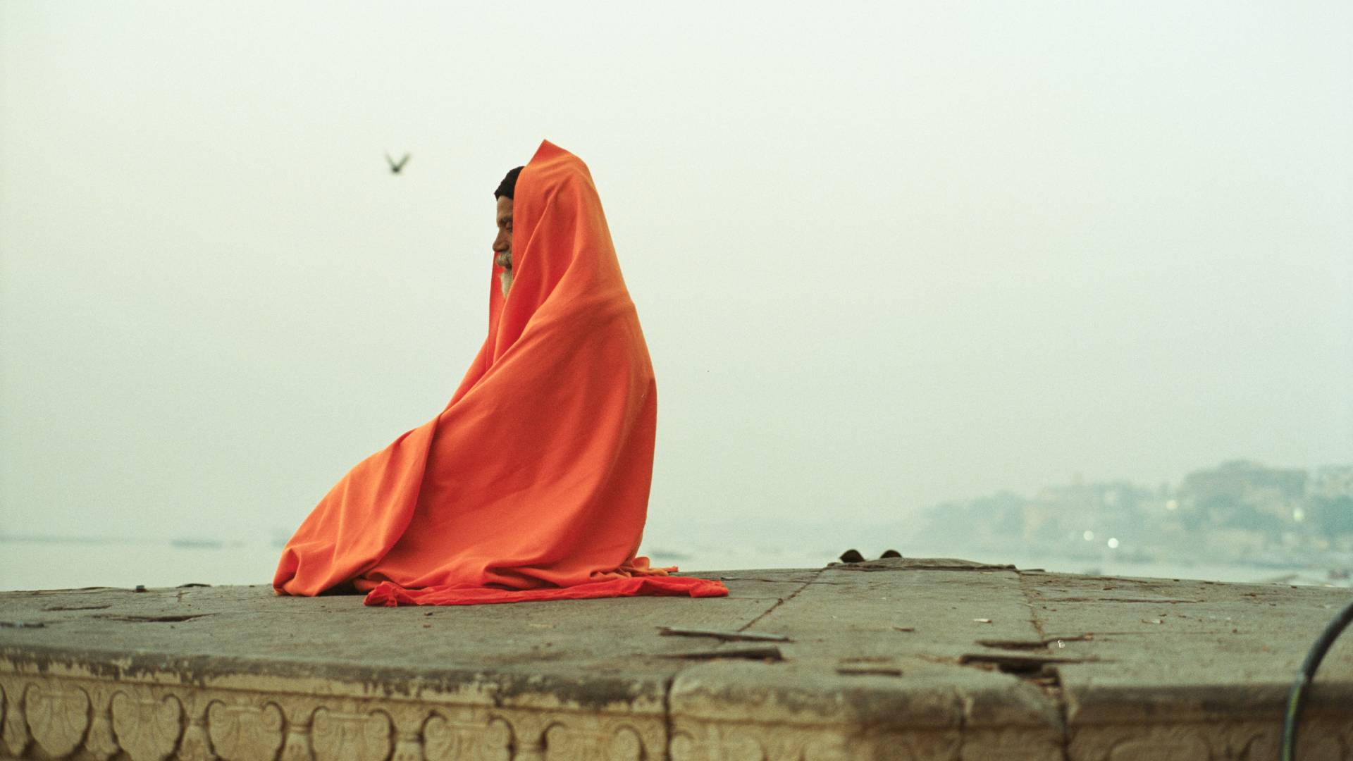 Photo de MicroPhoto 2