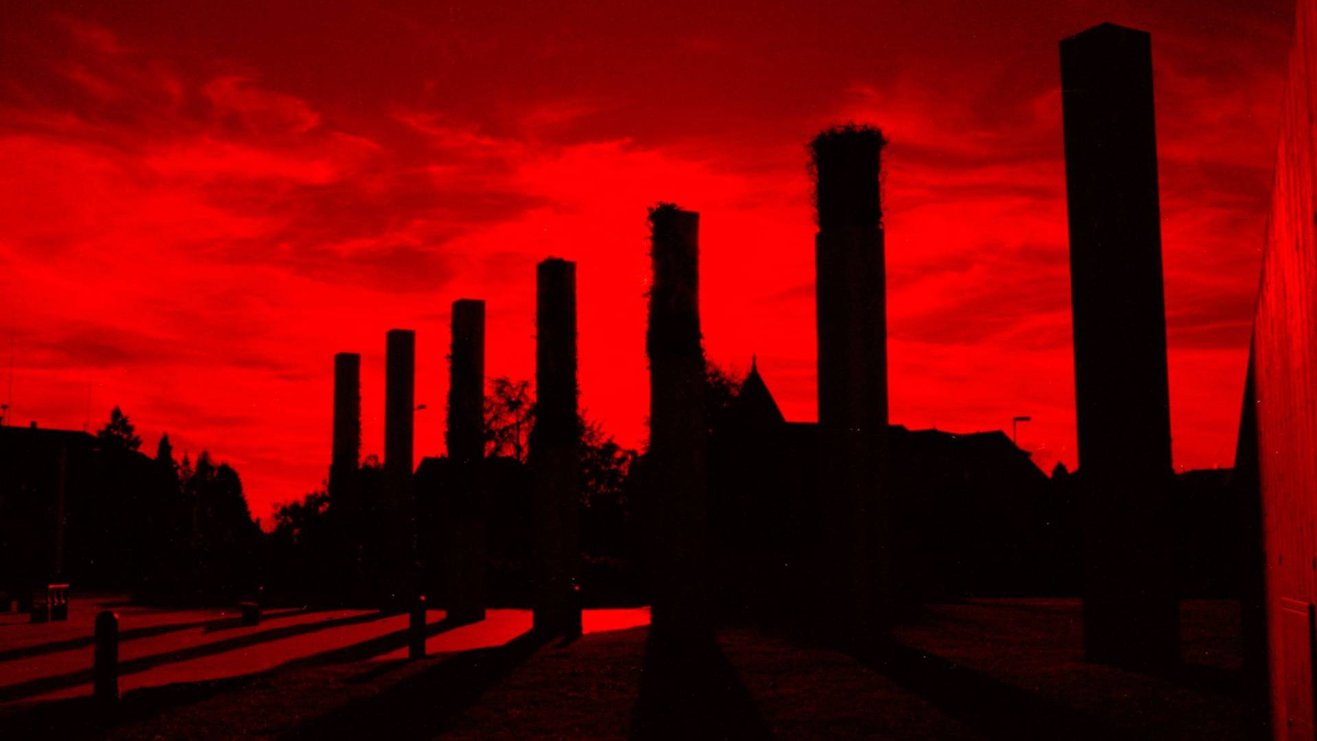 Photo de MicroPhoto 4